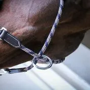 Jump’in – Licol Travel – Image 4