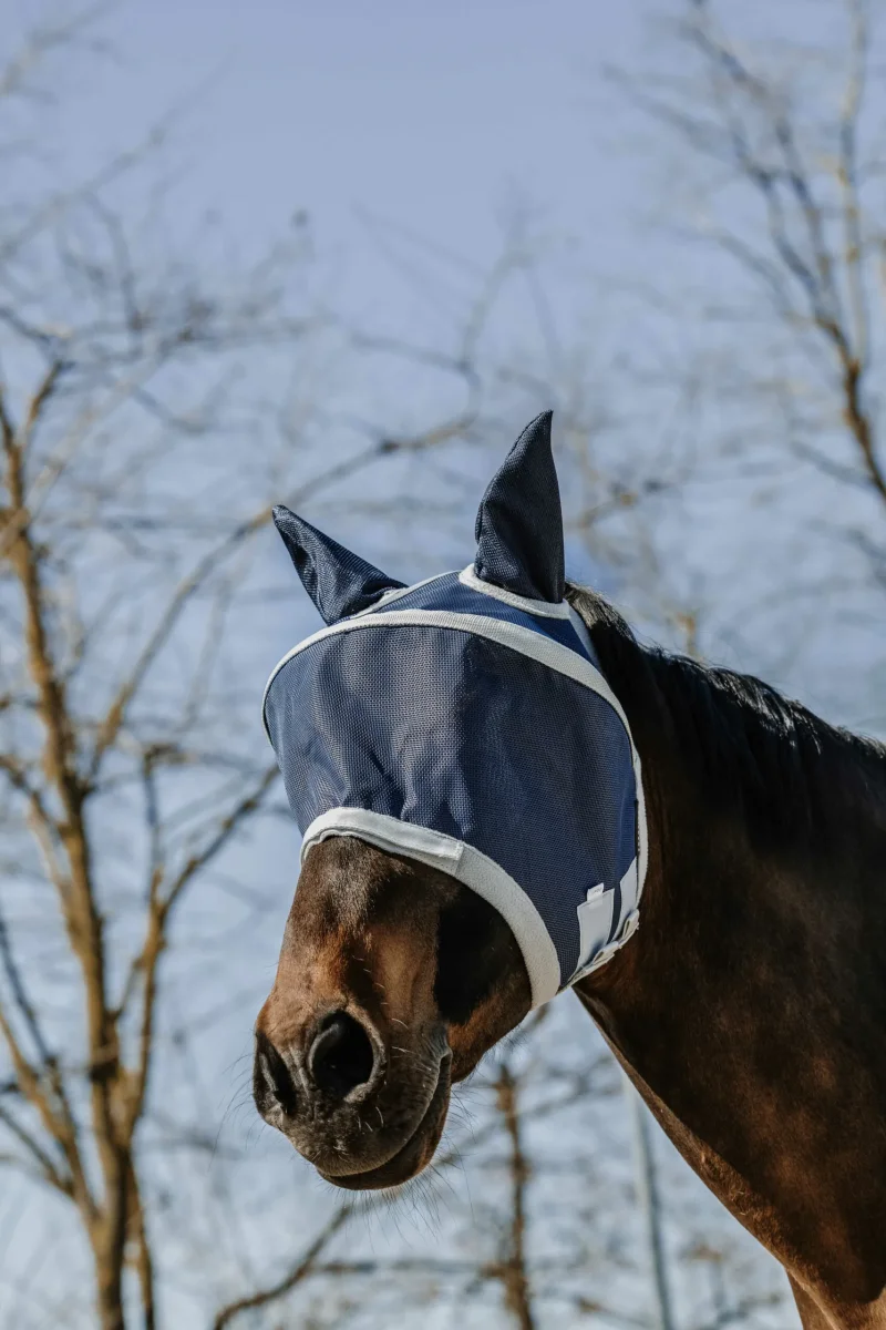 EQUITHÈME – Masque anti-mouches anti-UV – Cerceau