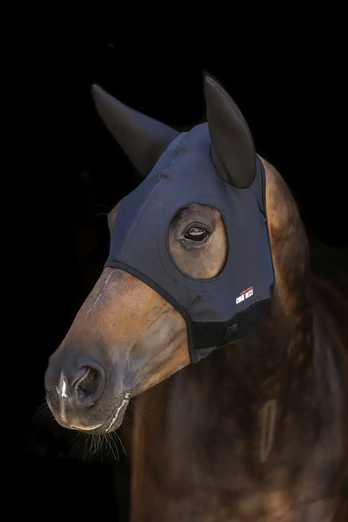 Lami-cell – Bonnet titanium avec oreilles – Image 5