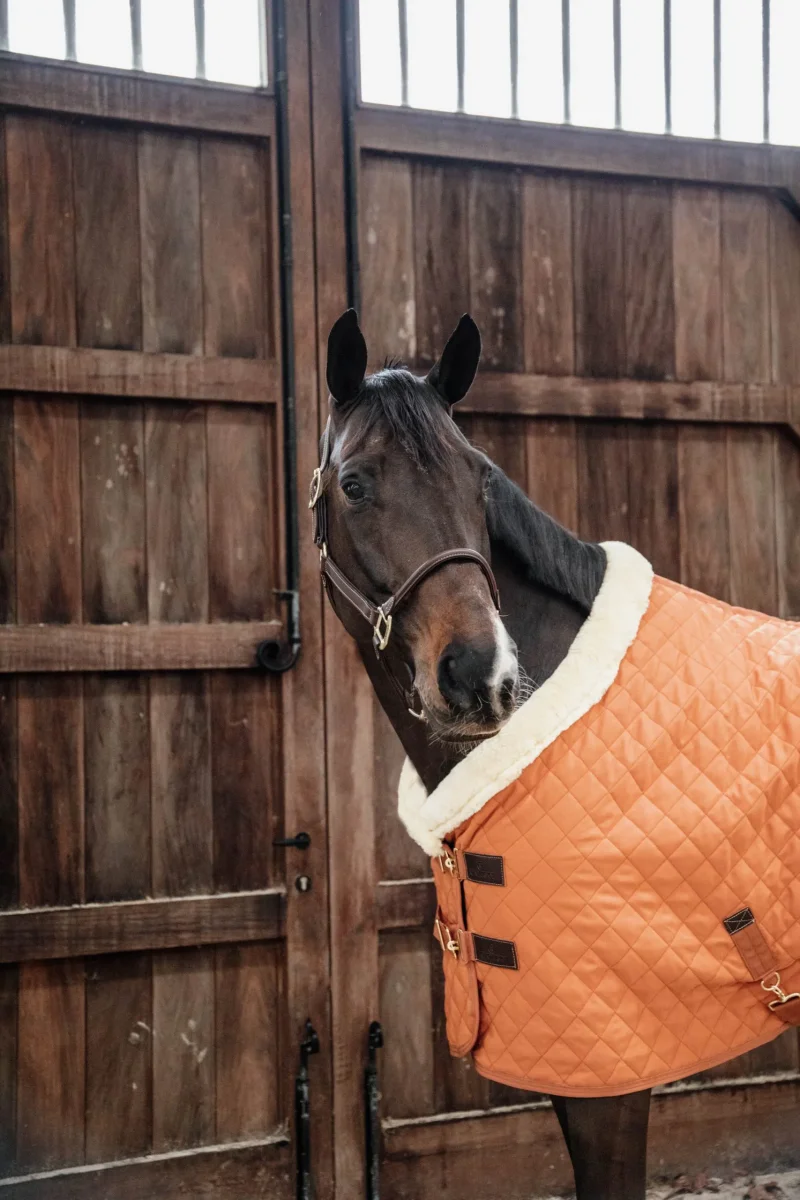 Kentucky – Licol anatomique en cuir – Image 3