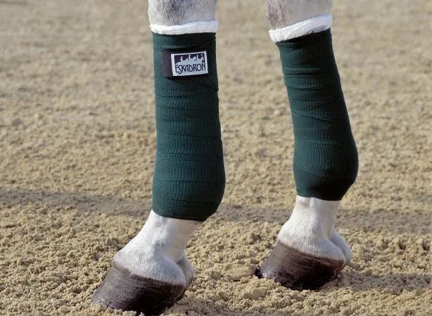 Eskadron – Bandes Climatex – Image 6