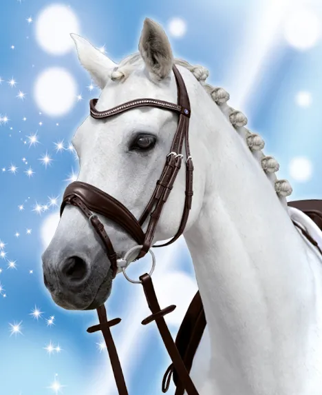 Passier – Bridon PASSIERBLU Spirit – Image 5