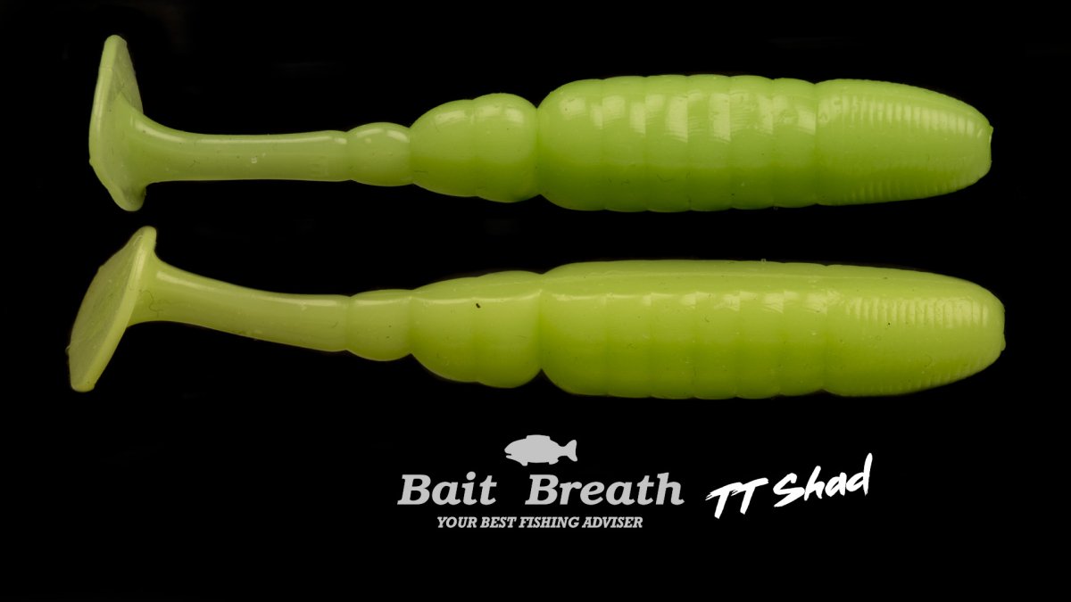 TT Shad 4 – Image 8