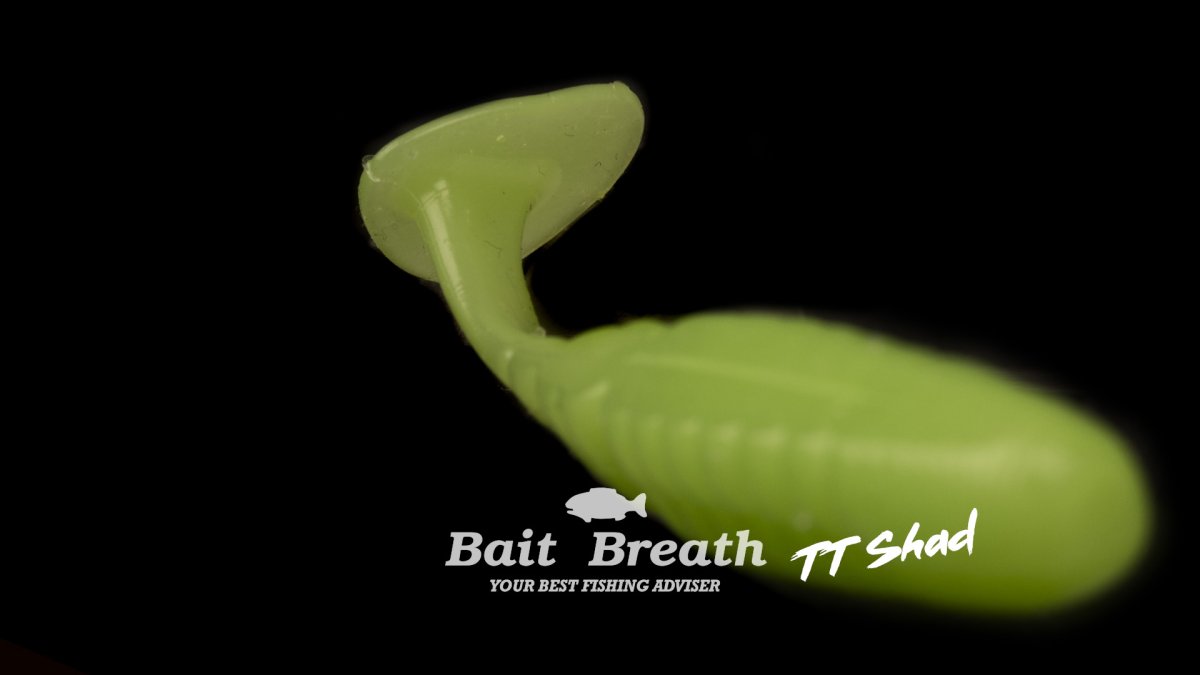 TT Shad 4 – Image 7
