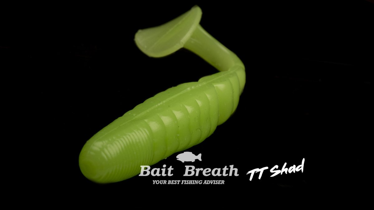 TT Shad 4 – Image 6