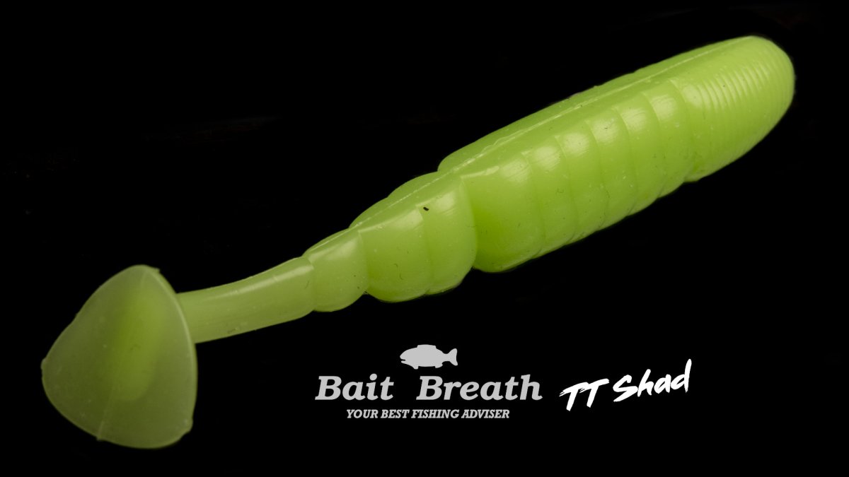 TT Shad 4 – Image 5
