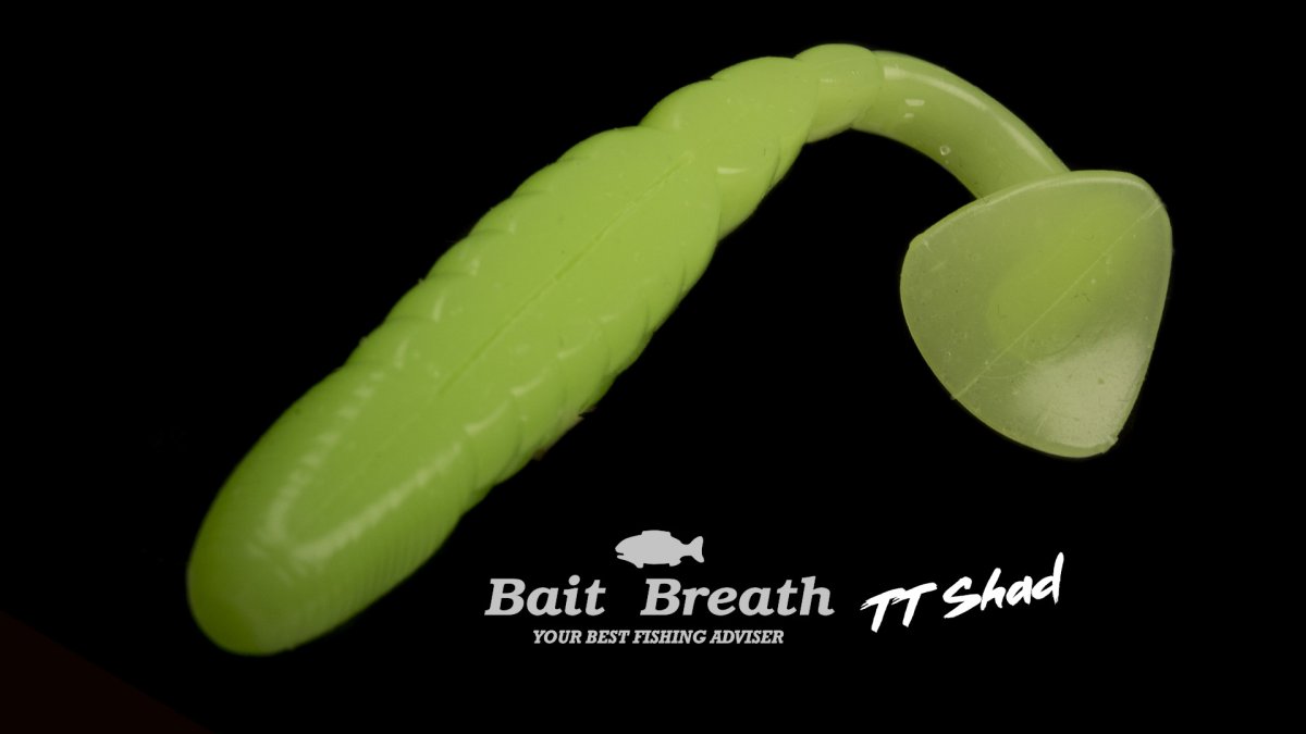 TT Shad 4 – Image 4