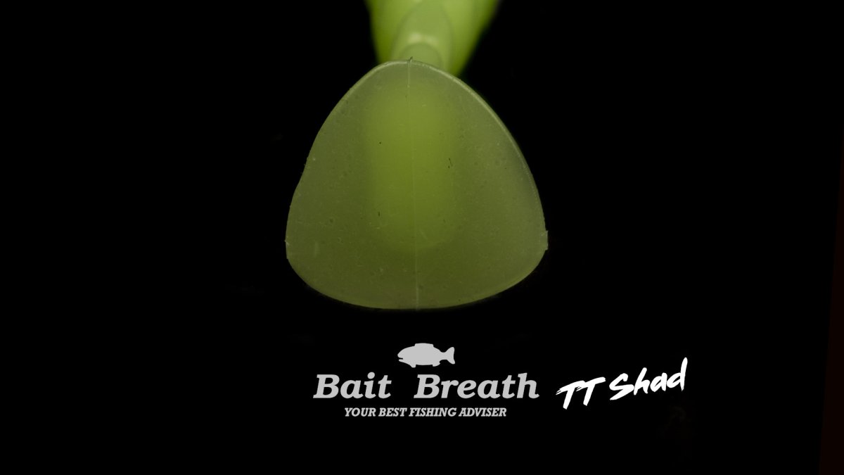 TT Shad 4 – Image 3