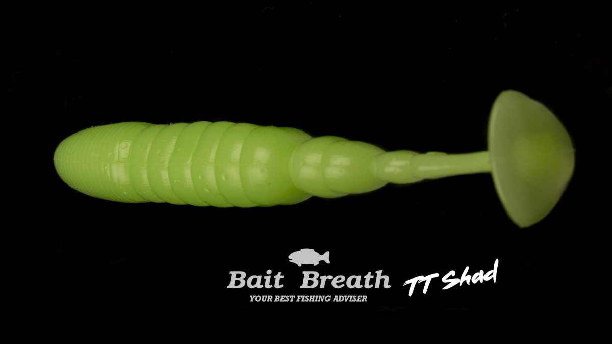 TT Shad 4 – Image 2