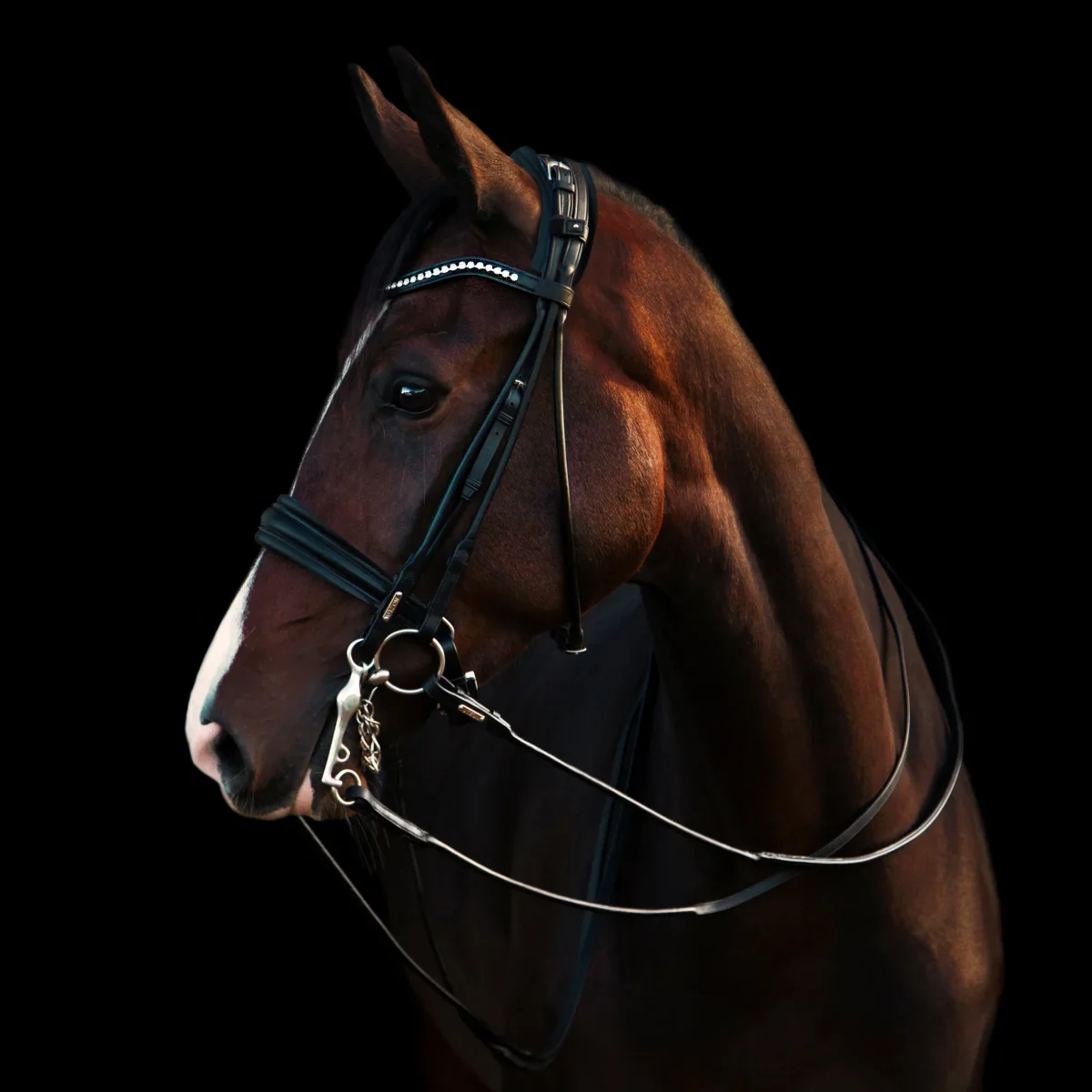 Utzon Equestrian – Bride dressage Edinburg – Image 3