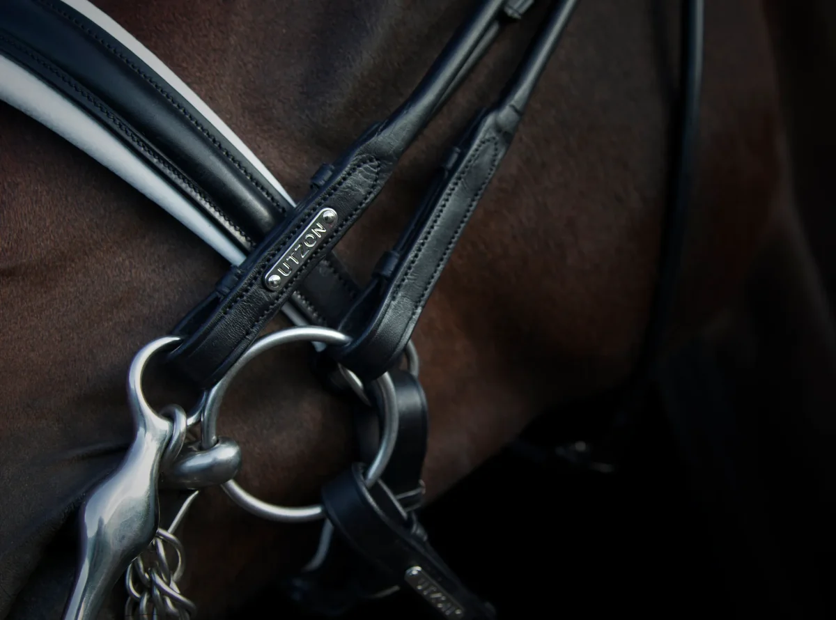 Utzon Equestrian – Bride dressage Edinburg – Image 5