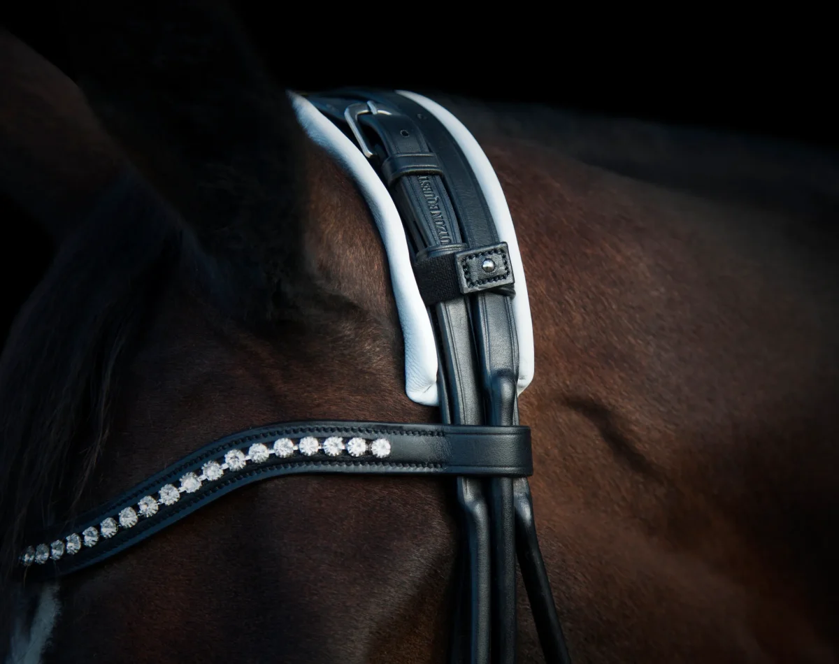 Utzon Equestrian – Bride dressage Edinburg – Image 6