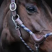 Jump’in – Licol Travel – Image 2