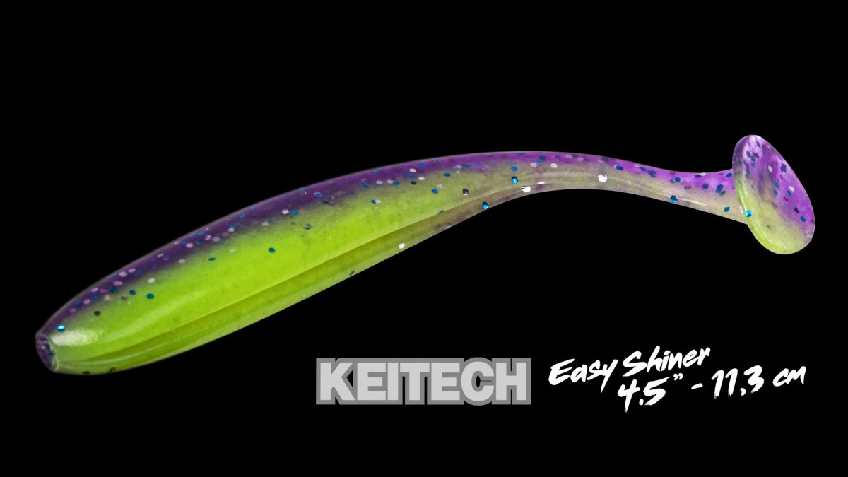 EASY SHINER 4.5 – Image 3