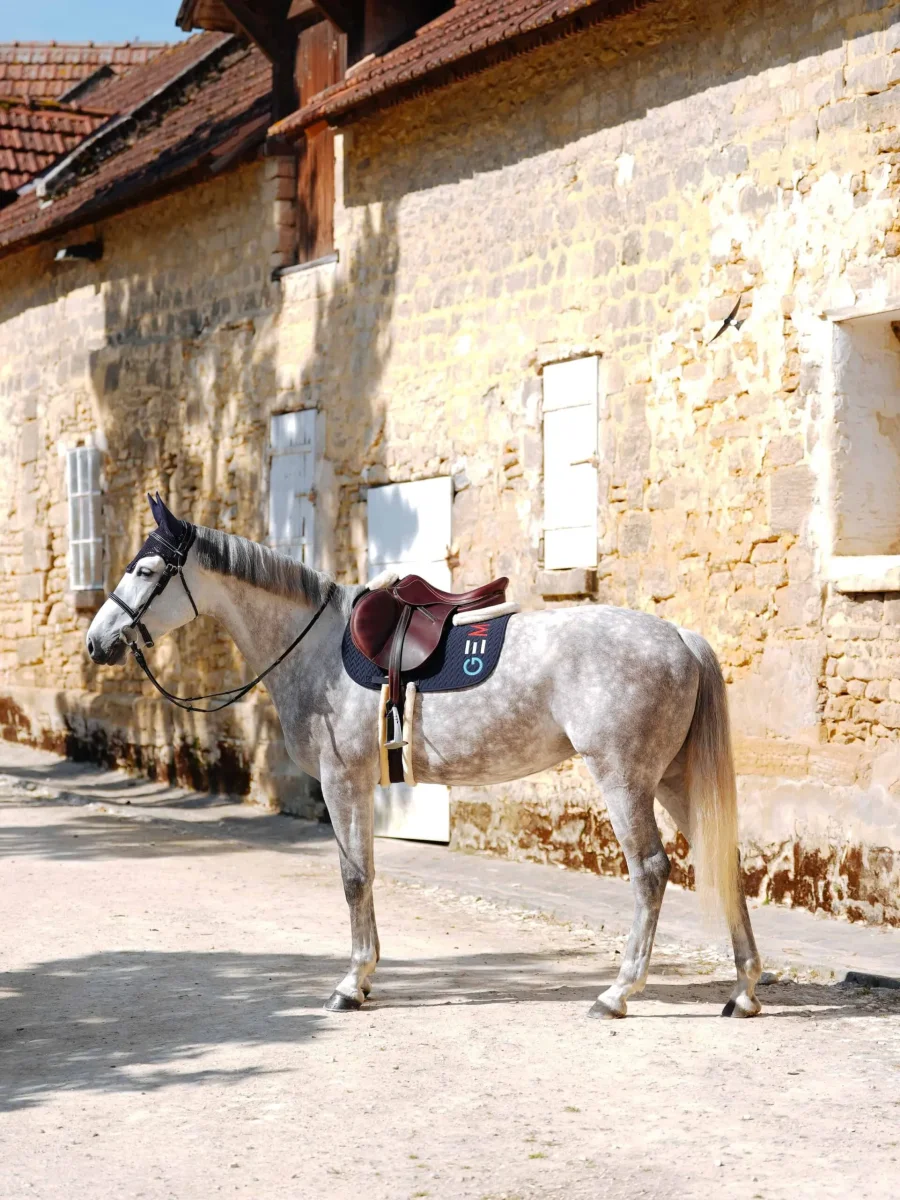 GEM Equitation – Tapis Ten Obstacle – Bleu/Blanc/Rouge – Image 3
