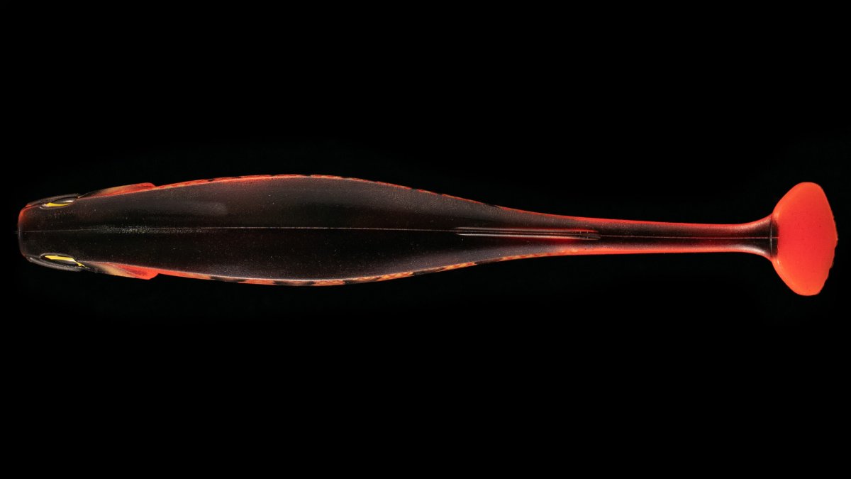 RAM Shad – Image 3