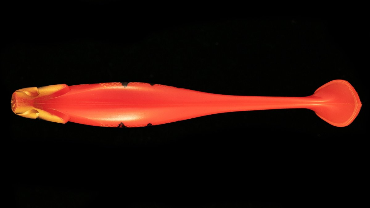 RAM Shad – Image 4