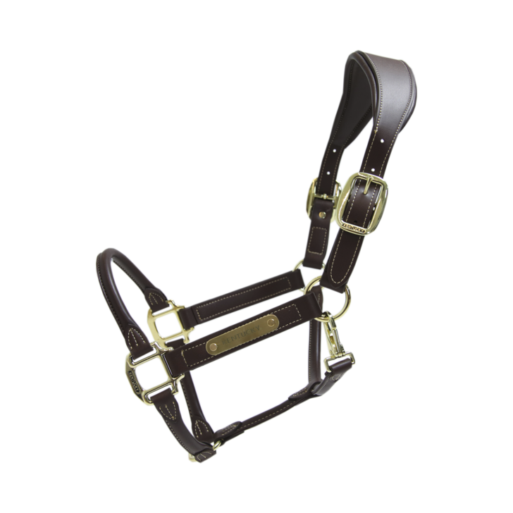 Kentucky – Licol anatomique en cuir