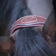 Jump’in – Licol Travel – Image 5