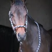 Jump’in – Licol Travel – Image 3