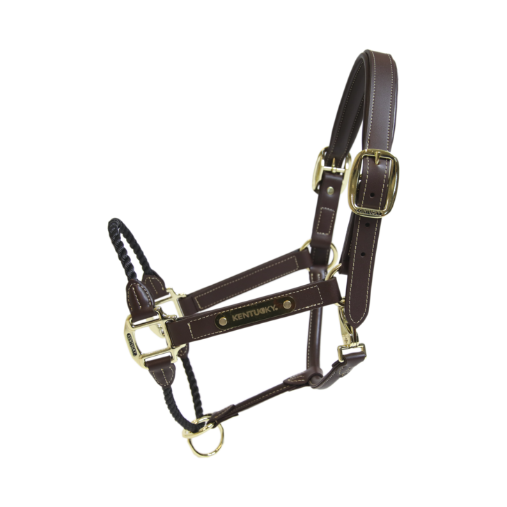 Kentucky – Licol en cuir rope
