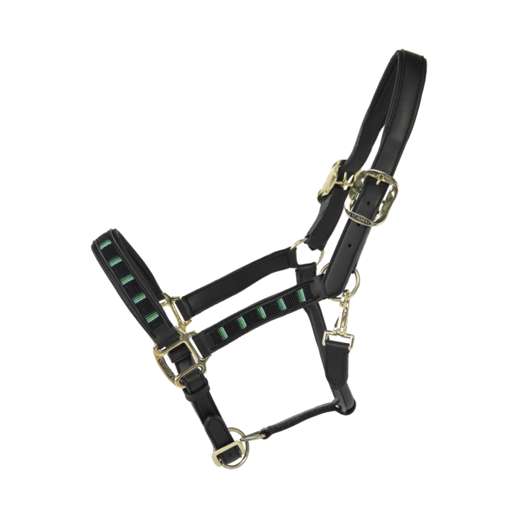 Kentucky – Licol Pearls – Noir